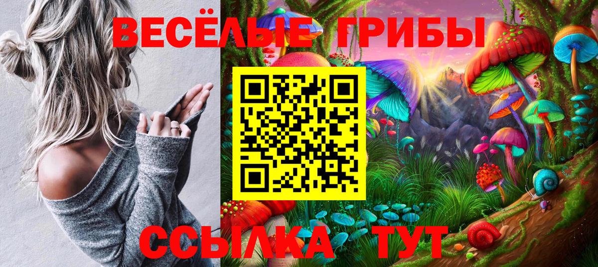 Галлюциногенные грибы ЛСД  Вход с VPN  Пенза  Галлюциногенные грибы GOLDEN TEACHER 